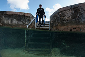 Cozumel shore diving