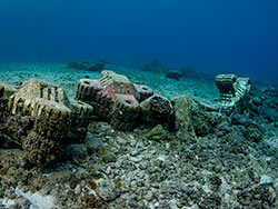 Shore diving at Scuba Club Cozumel