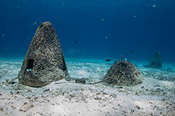 Shore diving at Scuba Club Cozumel