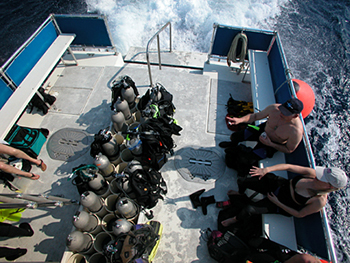 Scuba Club Cozumel Reef Cat Dive Boat