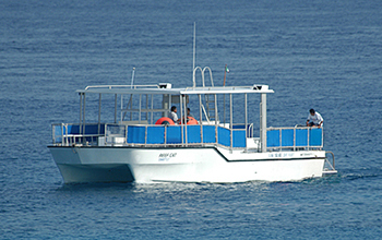 Scuba Club Cozumel Reef Cat Dive Boat