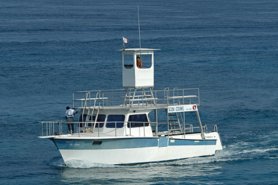 Scuba Cozumel Reef Diver Dive Boar