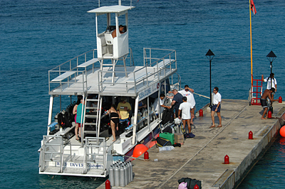 Scuba Cozumel Reef Diver Dive Boar