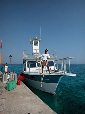 Scuba Cozumel Reef Diver Dive Boar