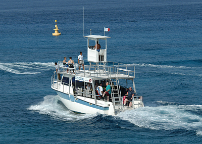 Scuba Cozumel Reef Diver Dive Boar