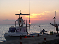 Night dives at Scuba Club Cozumel