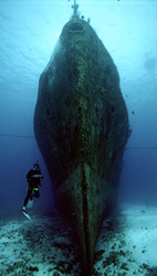 Cozumel Wreck Dive