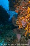 Cozumel Underwater