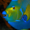 dslr_jims3s_f1a9bcdf443ba377b121fb0e6fd7e8ac.jpg